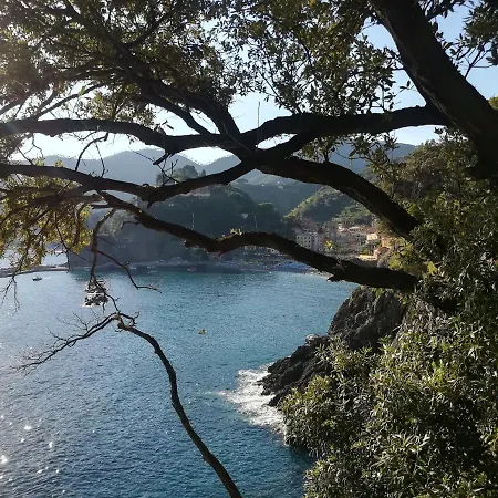 L'acciughina Al Mare *