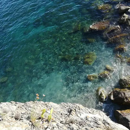 L'acciughina Al Mare *