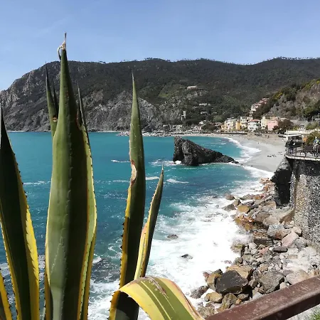 L'acciughina Al Mare Monterosso al Mare