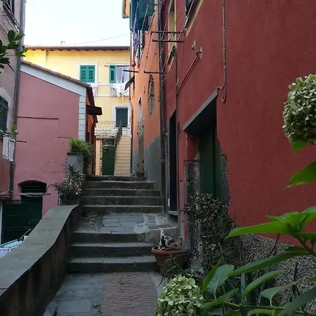 L'acciughina Al Mare Monterosso al Mare